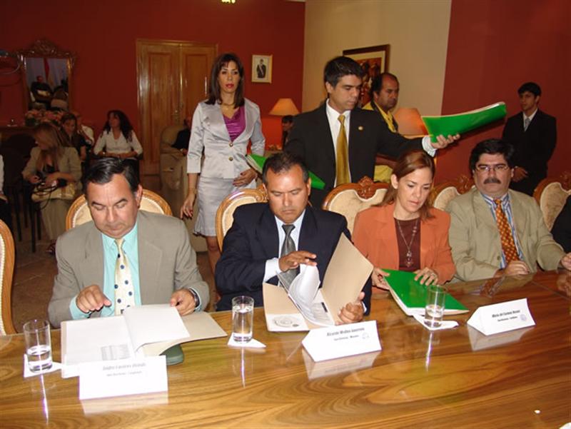 Presentación de Padrón