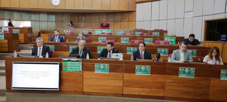 Ministros del TSJE participaron de audiencia pública sobre proyecto de ley de Observación Electoral