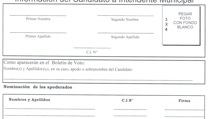 Formularios para PresentaciÃ³n y AceptaciÃ³n de candidatos a Intendentes y Concejales 