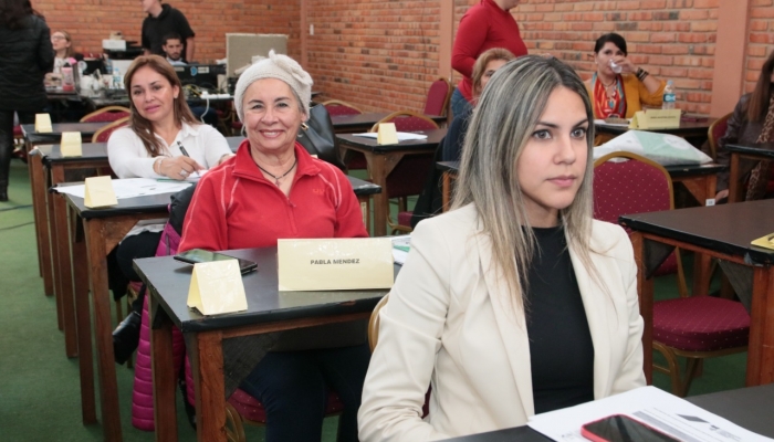 Mujeres lÃ­deres fueron capacitadas sobre Voto Accesible y organizaciones intermedias