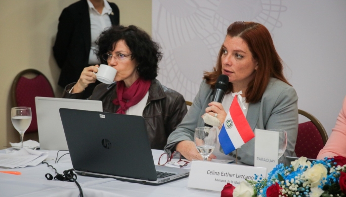 ReuniÃ³n de Ministras y Altas Autoridades de la Mujer del Mercosur con presencia de la Justicia Electoral