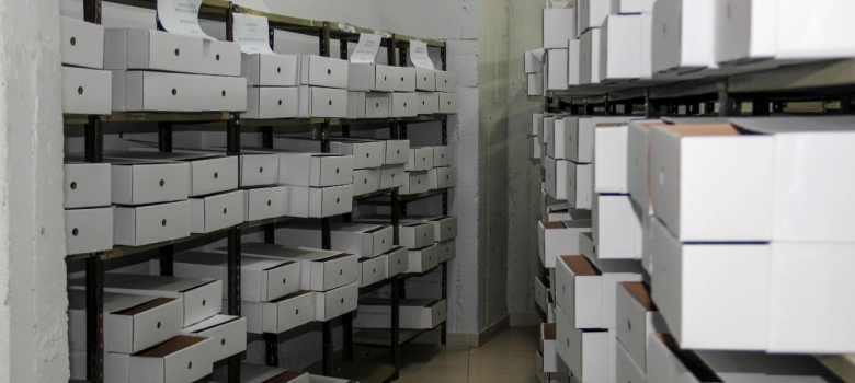 Funcionarios electorales preparan más de 4.600 maletines electorales para Internas del PLRA