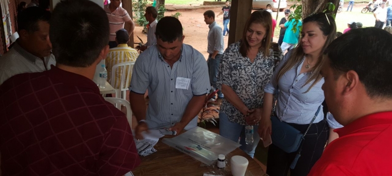 Elecciones Internas Simultáneas culminan sin inconvenientes en los seis distritos 