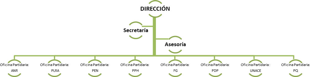 Organigrama de la Dirección de Partidos y Movimientos Políticos de la Justicia Electoral